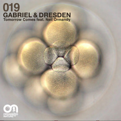 Tomorrow Comes (feat. Neil Ormandy) - Teaser