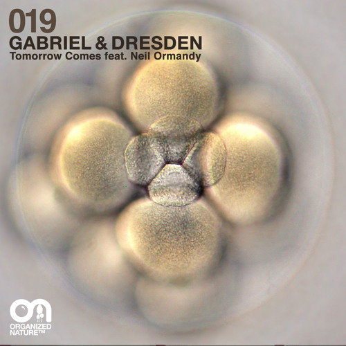 Tomorrow Comes (feat. Neil Ormandy) - Teaser