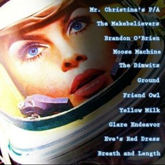 Mr. Christina's P/A - Highdrops Falling