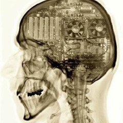 Inside Madness