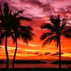 Ziggy Marley - Beach in Hawaii (JStylez Golden Sand Remix)