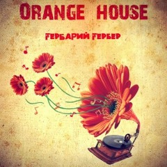 Orange House - Артхаус