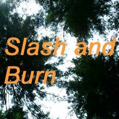 Slash And Burn