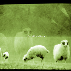 TAKE AS MANY SCANS AS YOU CAN