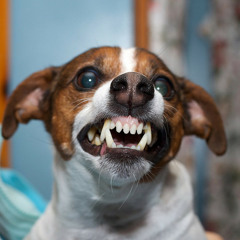 BreadBurner & Doomersky - Raga (final)