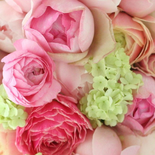 此れが涼しい By Kaosscosmos