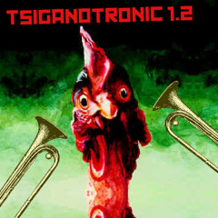 Tsiganotronic 1.2