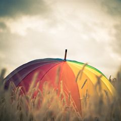 Umbrella For Two