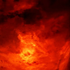 only evolved robot like insects witness the last day of planet earth