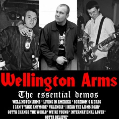 Wellington Arms - Got To Believe