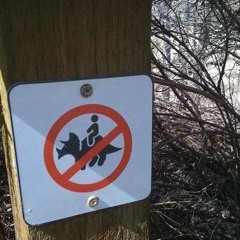 Marecco & Schimmelpfennig - schichtwechsel