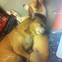 Even when I hate you