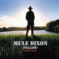 Mule Dixon & Kali Rea: Another Country Roadside