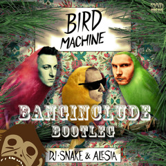 DJ Snake - Bird machine ( banginclude's ZB bootleg  90-100BPM Transition)