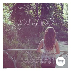 Chris Robin & Jonas Saalbach feat. Nora Abdul - Maybe This Time (Original Mix)