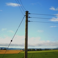 From a Windowsill 02 (Morning Sounds - 11 August 2013)