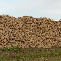 Dr.Svenska - Dropped Beets (Trap MiniMix)