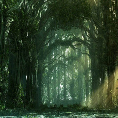 Trip into the woods