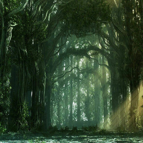 Trip into the woods