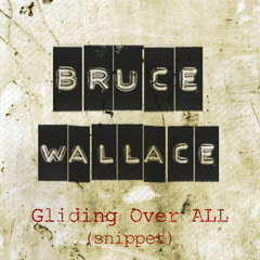 Bruce Wallace - Gliding Over All (Original Mix) snippet