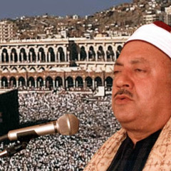 يا صاحب الحق الكبير  محمد الطوخى‬