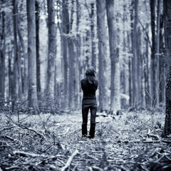 Secret Garden - Elegie (Andy E Remix)