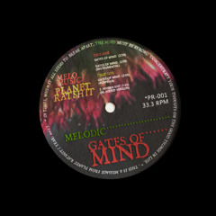 Melodic - Gates of Mind (Rare Instrumental Version)