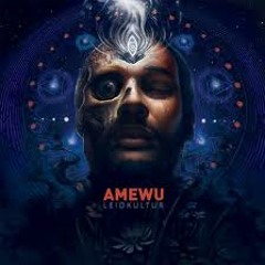 Amewu feat. S-Rok - Stone Inst.