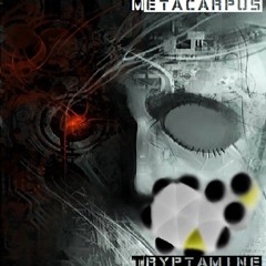 Tryptamine (CLIP) coming soon...