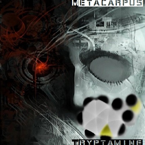 Tryptamine (CLIP) coming soon...