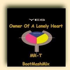 Owner Of A Lonely Heart ( MR-T BootMash )