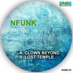 Nfunk - The Lost Temple (out now on DNBB Recordings)