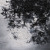 Artwork for Silent Whale Becomes a Dream - As Walking On Canopy