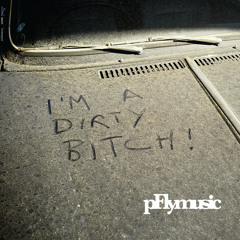 [PFLY001] Wbeeza - Perfect High