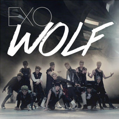 Wolf (EXO remix)