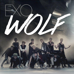 exo remix
