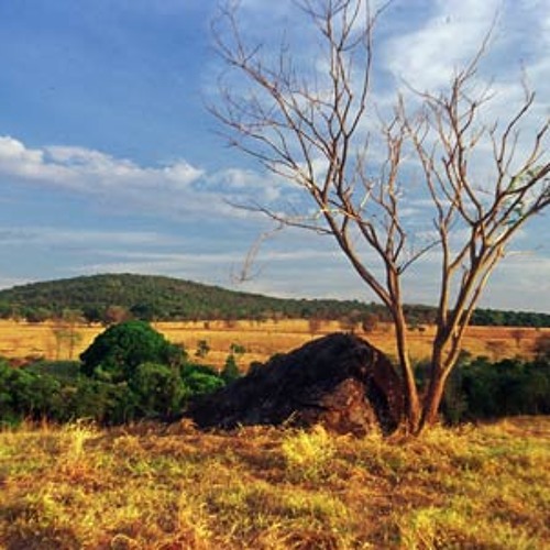 MC JUNINHO DA 10 & MC FLAVINHO BOAÇU - ÉO COMPLEXO DA 40 ÉOS CRIAS DO BOASSU ( DJ YUYU CARA RATO