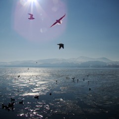 Freedom From Everything