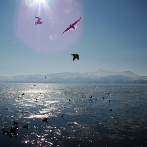 Freedom From Everything