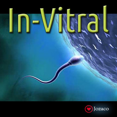 In-Vitral - Jozaco