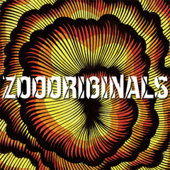 Katzuma - All Night (7" edit)