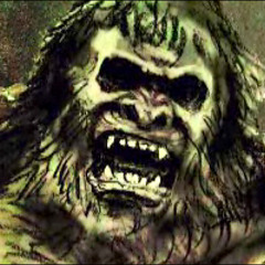 Animal (Produced by -DownTown Music)