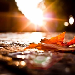 we are fucking crazy (Daniel RB & Armando MTZ) (session de agosto)