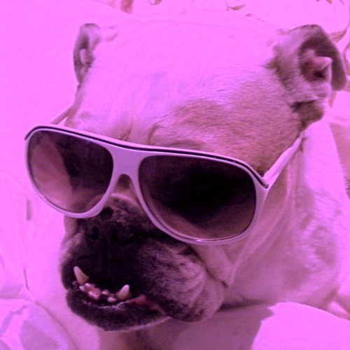 BTWN SPKRS - DJ MIX 001 (a summer fling)