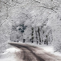 Snow Village (Ideas)- R.A.D.S OST