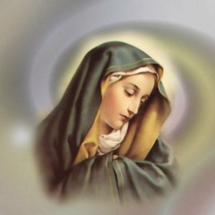 tranim