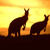 Artwork for Icehouse - Great Southern Land (5pm Markdown Real Aussie Beef Up)