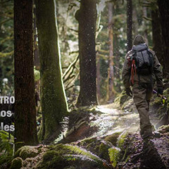 Los Árboles - Nieva Adentro (ensayo)