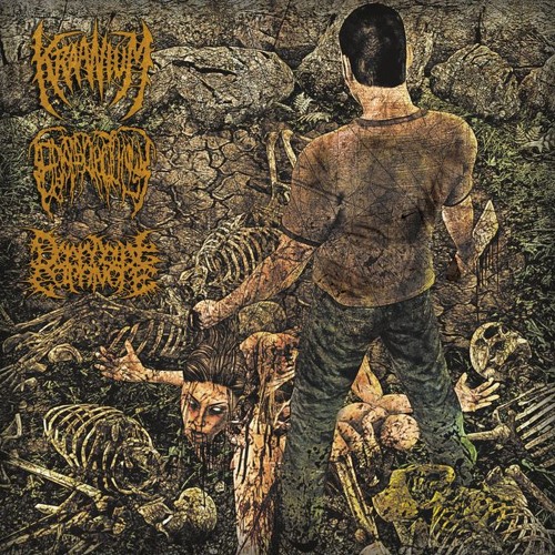 DECOMPOSED ENTRAILS COLONOSCOPY