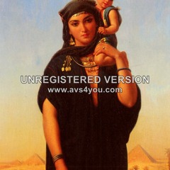 الطير المهاجر ..